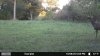 Trail Camera.jpg