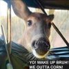 IMG_4796.jpeg
