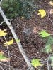 IMG_3415.jpeg
