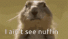 upload_2025-10-12_8-37-55.gif