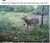 IMG_4842.jpeg