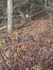 Image1760813071.766109.jpg