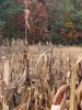 IMG_8418.jpeg