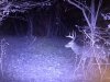 IMG_6373.JPEG