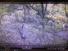 IMG_6379.JPEG