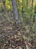 IMG_0097.jpeg