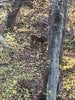 IMG_6414.JPEG