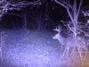 IMG_6373.JPEG