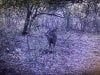 IMG_6417.JPEG