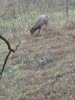 IMG_9983.jpeg