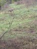 IMG_9992.jpeg