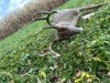IMG_7599.jpeg