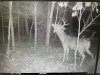 IMG_3943.jpeg
