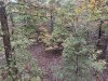 upload_2025-10-27_16-9-48.jpeg