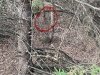IMG_3948.jpeg