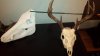 2012-11-24_20-09-06_462.jpg