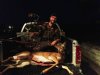 2012 Deer 2.jpg