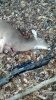 2012-11-29_16-53-10_673.jpg