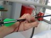 arrow_in_hand.jpg