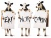 3-Cows-lg.jpg