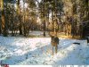 11-26-12 Cemetery Ridge.jpg