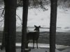 DSCN4653.jpg