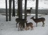 DSCN4655.jpg