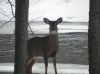 DSCN4656.jpg