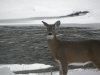DSCN4658.jpg