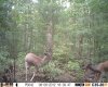 HUNT0042.jpg