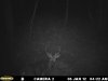 MDGC0196.JPG