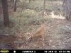 MDGC0444.JPG