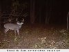 DSC_0091.jpg