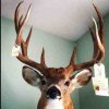 ImageUploadedByTapatalk1358357110.798728.jpg