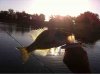 ImageUploadedByTapatalk1359125614.445750.jpg