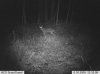 Trailcampics6-16to6-19-09ScoutGu-4.jpg