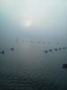 IMG_20111125_074036.jpg