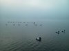 IMG_20121123_070428.jpg