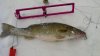 25 incher.jpg