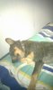 IMAG0089.jpg