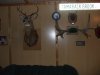 camp 009.jpg
