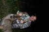 clip_image002.jpg