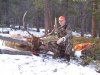 100_1076.jpg