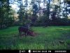 ridge food plot october 15, 2009 033.JPG