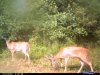 Cuddebacks 028.jpg