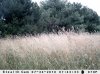 JULY TRAIL CAM PICS 019.jpg