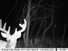 JULY TRAIL CAM PICS 143.jpg