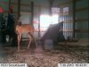 bldgbuck.jpg