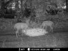MDGC0045.jpg