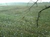 IMG00016-20091206-1410.jpg
